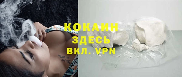 твердый Балахна