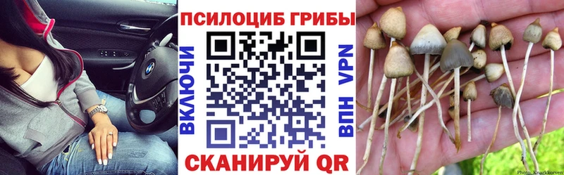 купить наркоту  Пересвет  kraken tor  Галлюциногенные грибы мицелий 